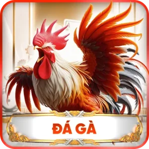 Đá Gà H13 – Những Trận Đấu Đỉnh Cao Dành Cho Người Đam Mê Chọi Kê